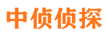 雅安市婚姻调查